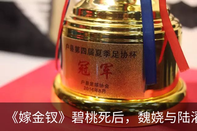 《嫁金钗》碧桃死后，魏娆与陆濯布局向皇后报仇，才明白，魏娆所受的苦，均来源于生母周芙
