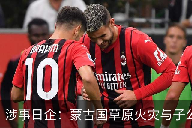 涉事日企：蒙古国草原火灾与子公司高管活动有关
