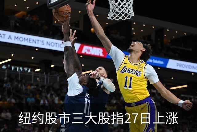 纽约股市三大股指27日上涨