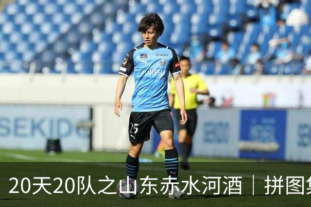 20天20队之山东赤水河酒｜拼图集齐 冲击冠军