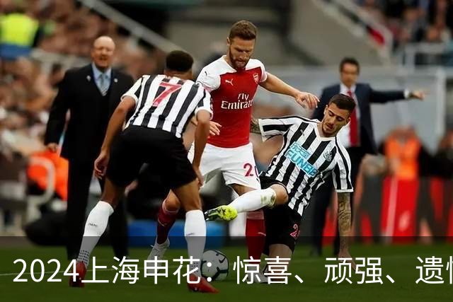 2024上海申花：惊喜、顽强、遗憾--明年拿冠军
